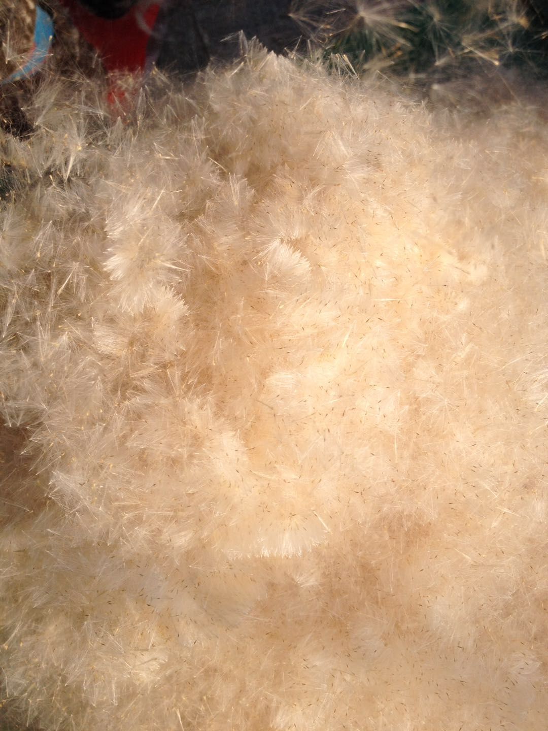 兰眉枕头 香蒲绒枕芯蒲棒蒲絮毛腊枕头芦花枕头纯棉安神帮助睡眠护颈