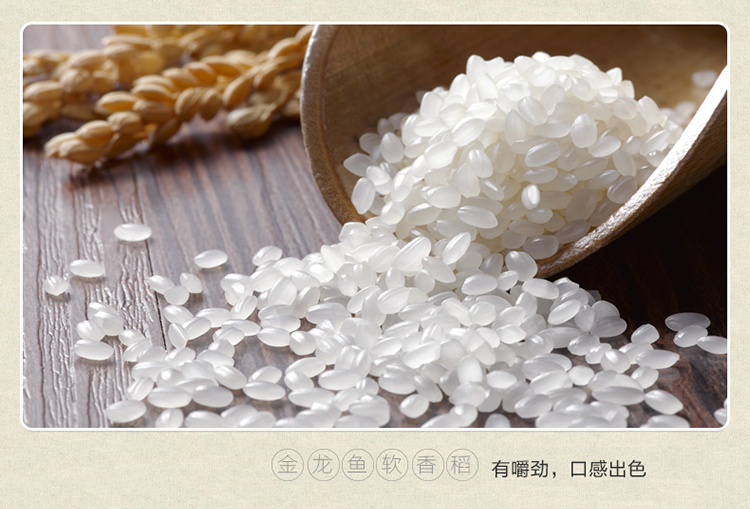 金龙鱼苏北大米软香稻5kg