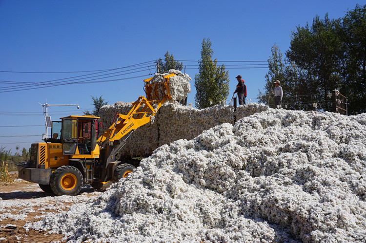新疆棉被棉胎被芯垫被褥子长绒棉花被子棉被手工被全棉加厚被棉絮