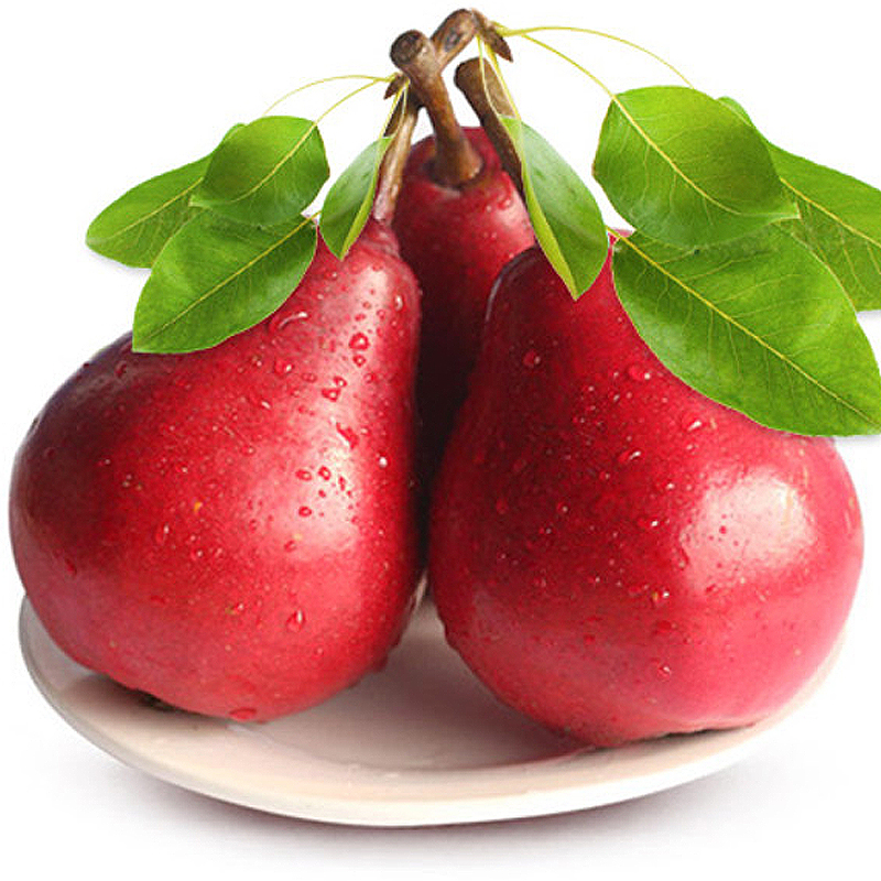 博多客红啤梨25kg梨子鸭梨啤酒梨太婆梨可以吸的梨子