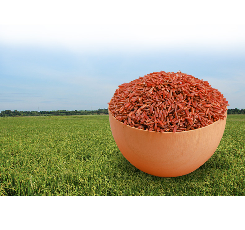 粤海田 海红香米 海水稻 大米 红米 6斤礼盒装