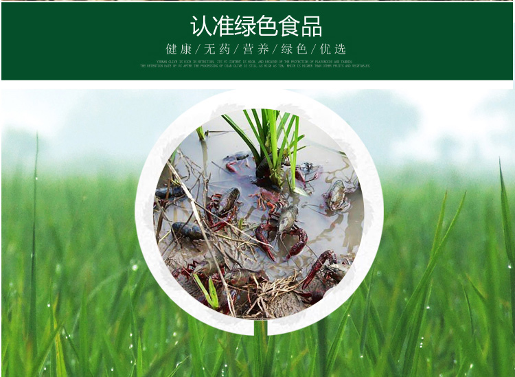 圣田香苏北金湖虾田稻大米虾田米虾稻共生长粒米5kg袋装粳米