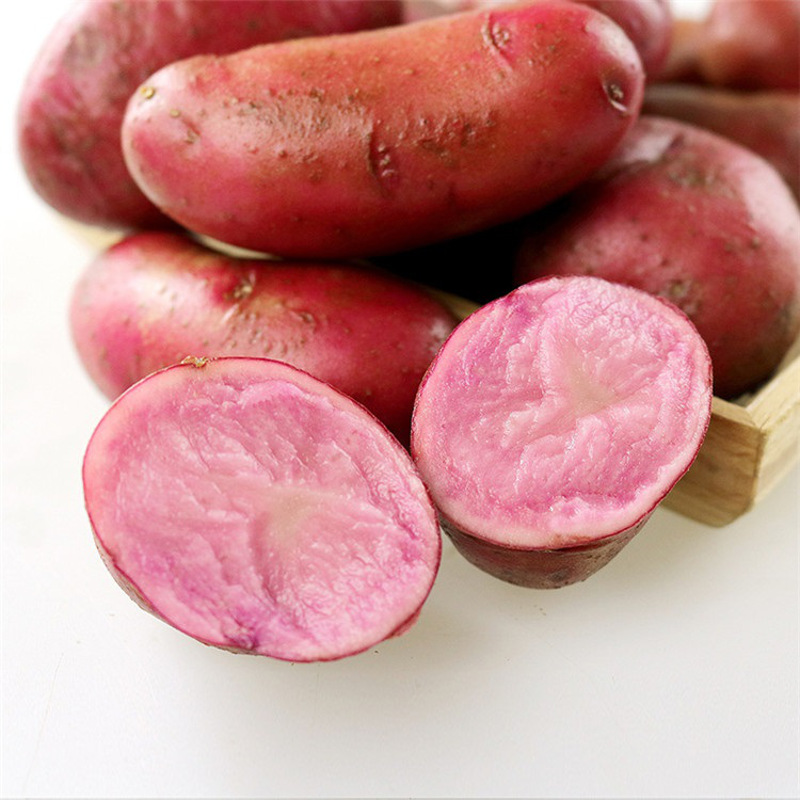 农聚源 红皮红心土豆5斤 新鲜蔬菜 产发qq