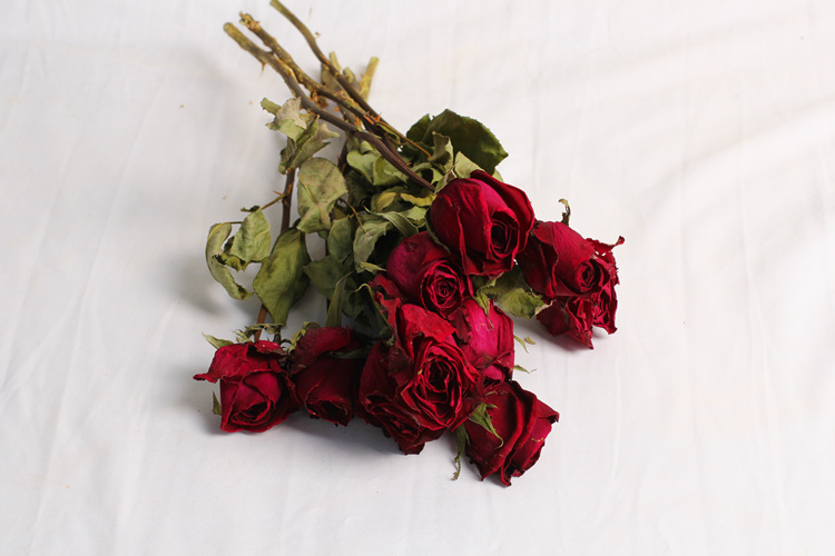 红干花花束ins玫瑰真花花束办公家居装饰北欧文艺小清新简约风