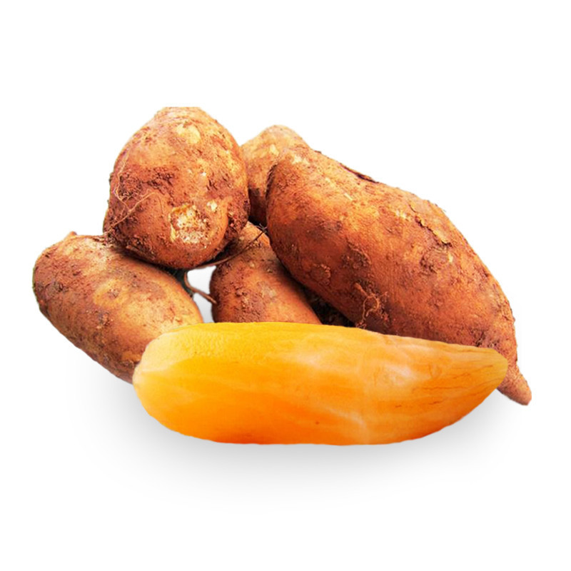 雪莲果云南天山雪莲果红泥土沙地新鲜水果脆甜水果孕妇水果45kg小果