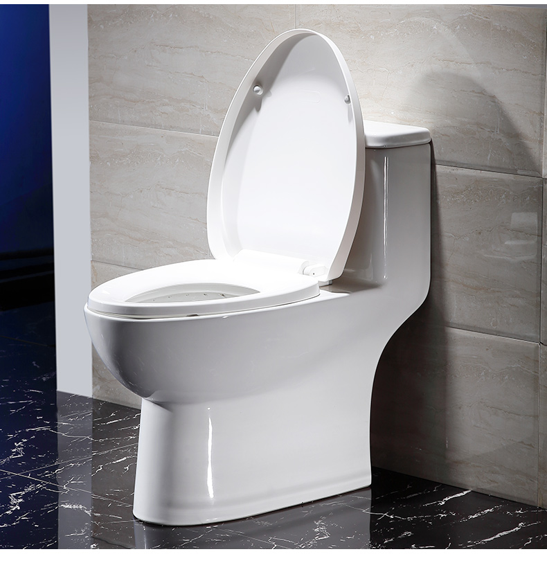 鹰卫浴坐便器马桶家用小户型成人座厕卫生间防臭抽水陶瓷鹰牌