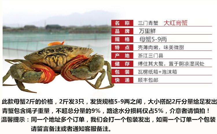万里鲜 Wanlixian 蟹类万里鲜三门青蟹大红膏蟹海蟹鲜活1kg 3只生鲜活螃蟹 价格图片品牌报价 苏宁易购万里鲜旗舰店