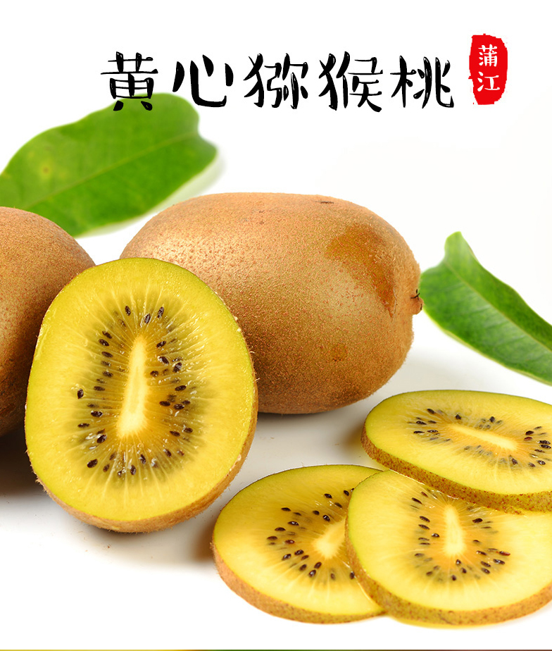 西娅蔬果四川黄心金艳猕猴桃奇异果6个装单果90110g