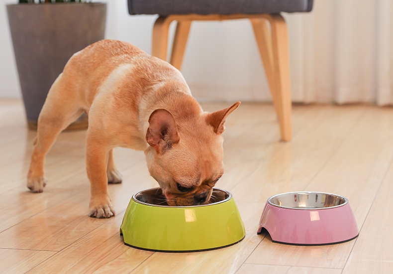 宠物狗碗大号大型犬狗粮狗盆泰迪金毛双碗狗狗食盆不锈钢饭盆用品