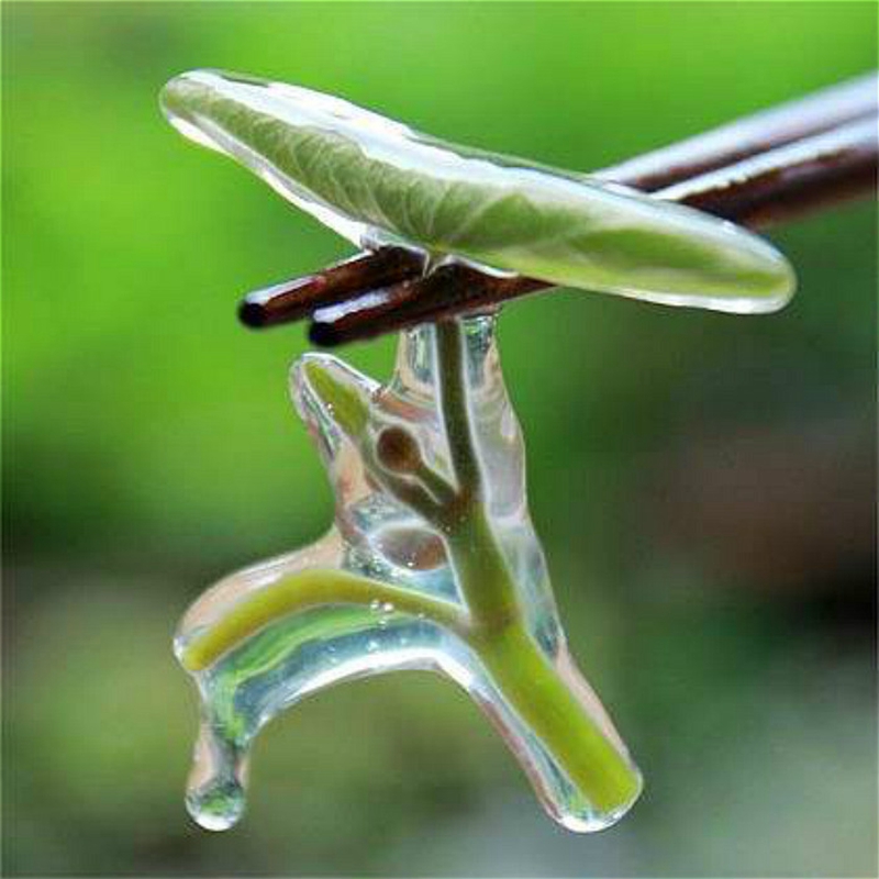 超级新品 莼菜900g 新鲜 苏州太湖 太湖野菜西湖 马蹄菜利川 生鲜