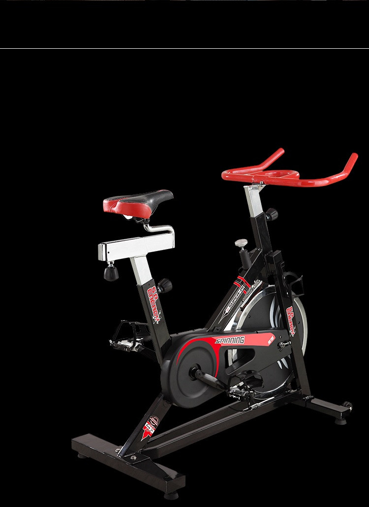 艾威 家用动感单车bc4350竞速车健身车健身器材【价格 图片 品牌 报价
