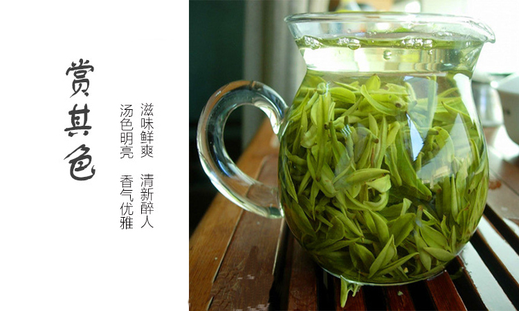 桐柏特产玉叶绿茶盘古溪野山茶西湖龙井工艺淮源玉叶茶专柜包邮