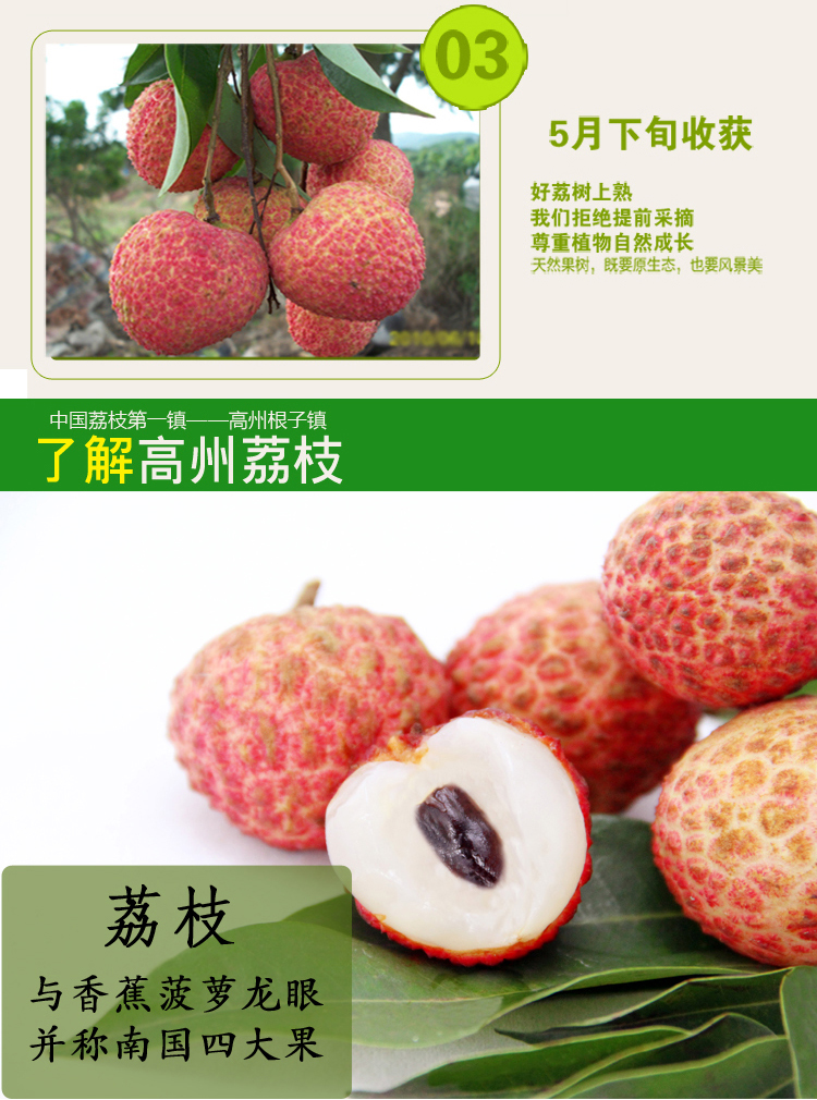 苏宁超市高州白糖罂荔枝现摘6斤箱