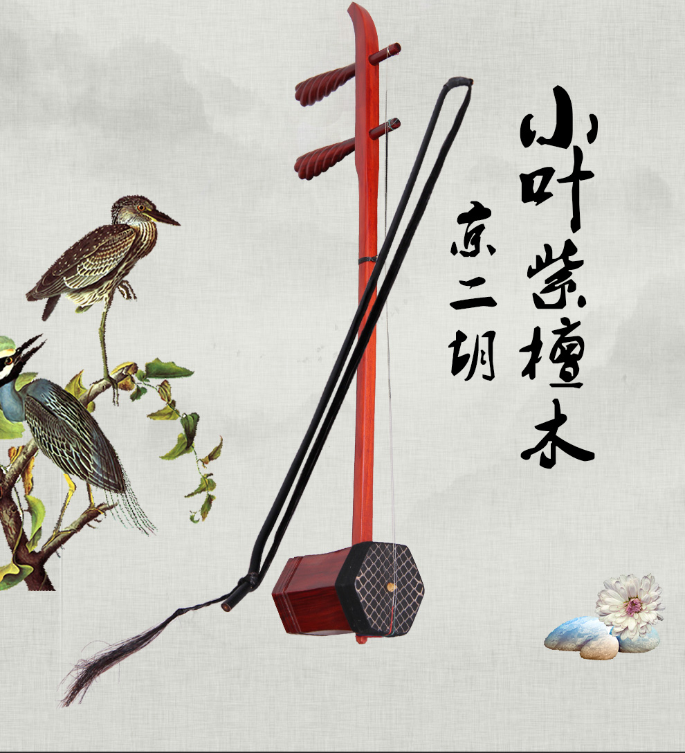 戏曲乐器手机版下载苹果(苹果手机听戏曲的app官网)