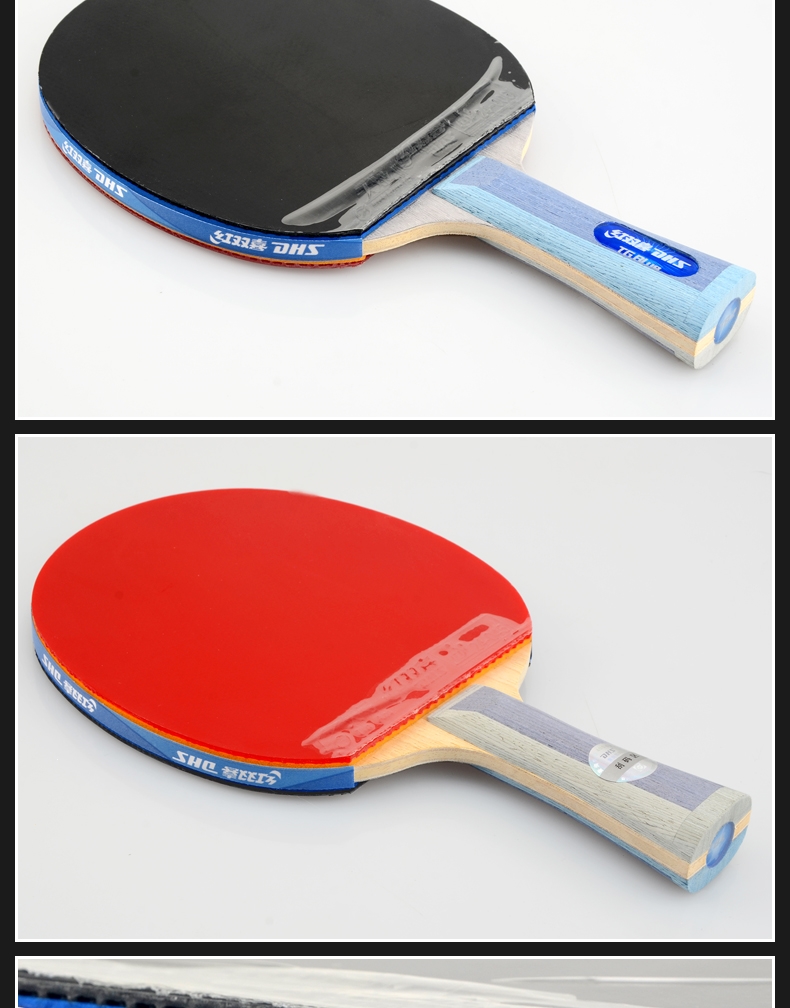 天极蓝乒乓球拍红双喜双反胶蓝海绵胶皮直拍横拍ppq成品拍