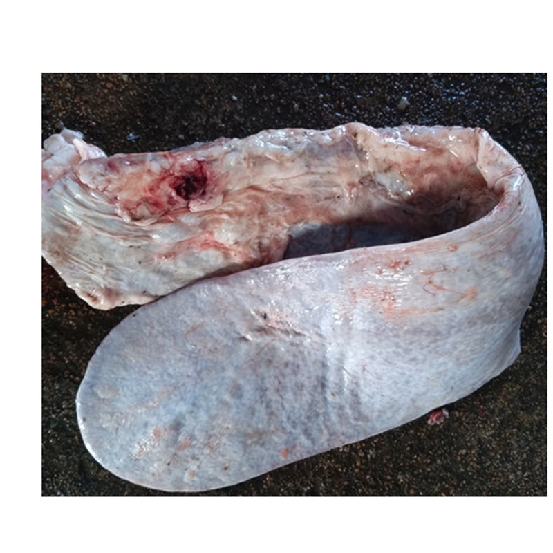 新鲜牛沙肝牛下货1kg2斤牛下水牛脾