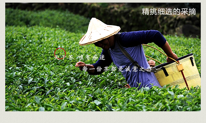 中华特色饶平馆咪个有赤叶单丛茶叶单罐125克凤岩牌乌龙功夫茶潮汕