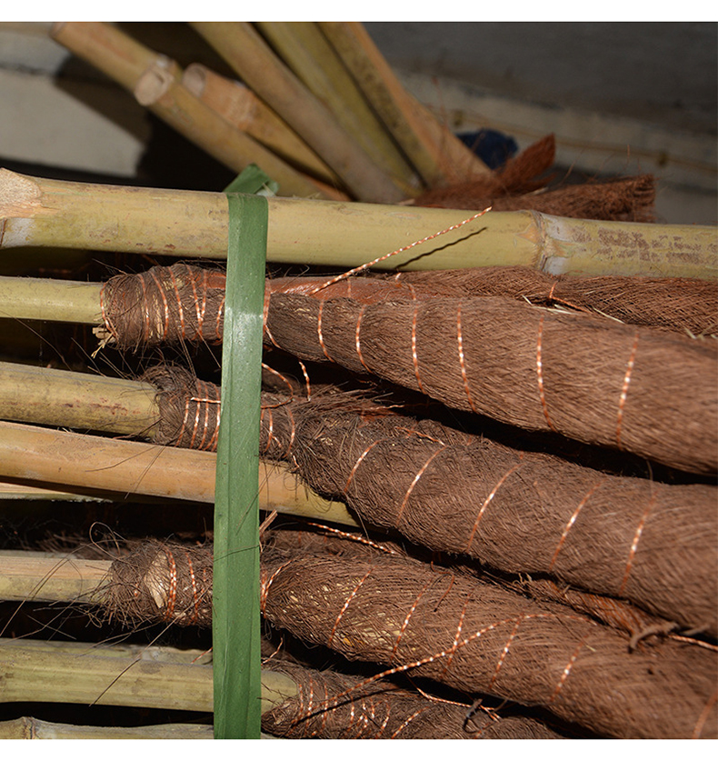 规格长12米棕树皮扫把木杆棕扫把家居清洁用笤帚