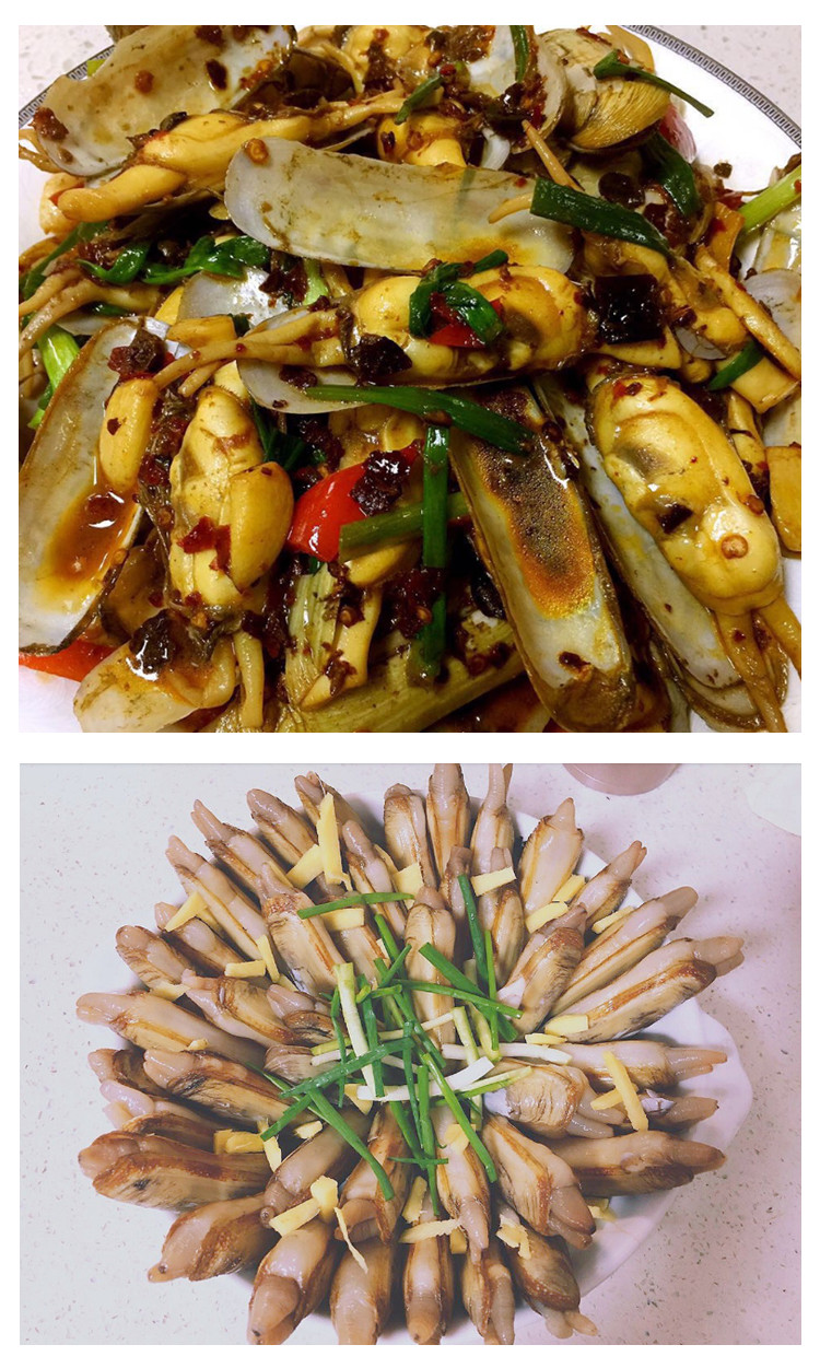 蚬蛏,小荚蛏_大山谷图库