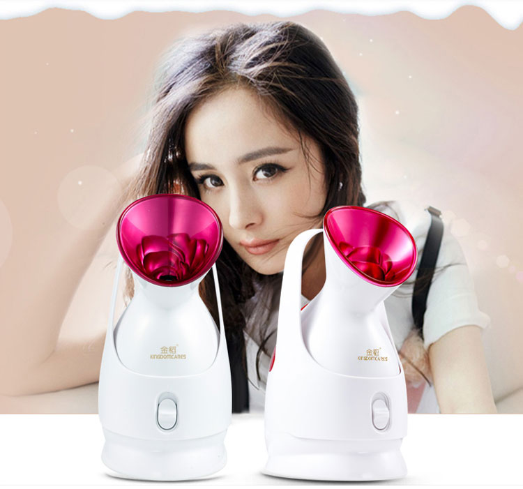 金稻kingdom美容仪kd2331a