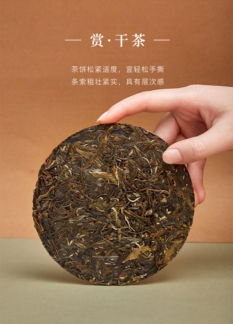 99元任选3件八马茶叶信记号天地和鸣云南普洱茶普洱生茶手撕饼单饼装