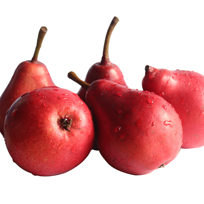 超级新品 国产红啤梨5斤 梨子 新鲜水果 产发qq