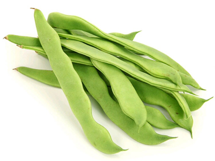 农聚源 云豆 500g 豆角 芸豆 刀豆 葛豆 架豆 豆王 新鲜蔬菜as【价格 