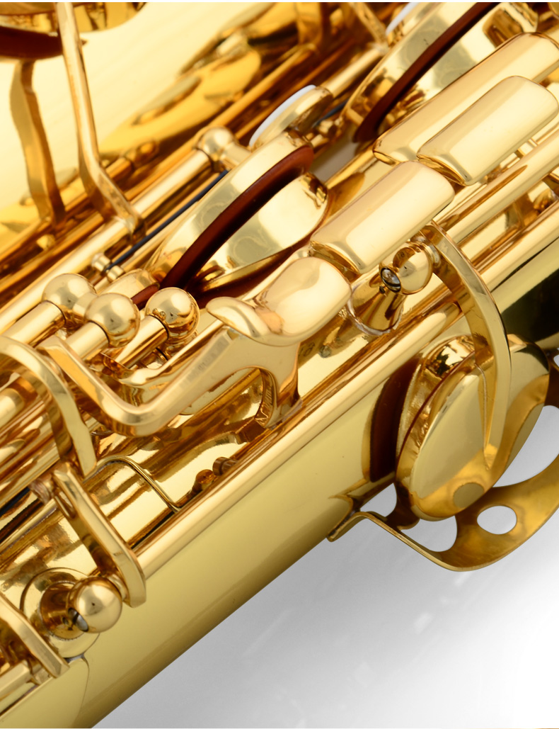 津宝降e调中音萨克斯初学者成人儿童黄铜管乐器jbas-601