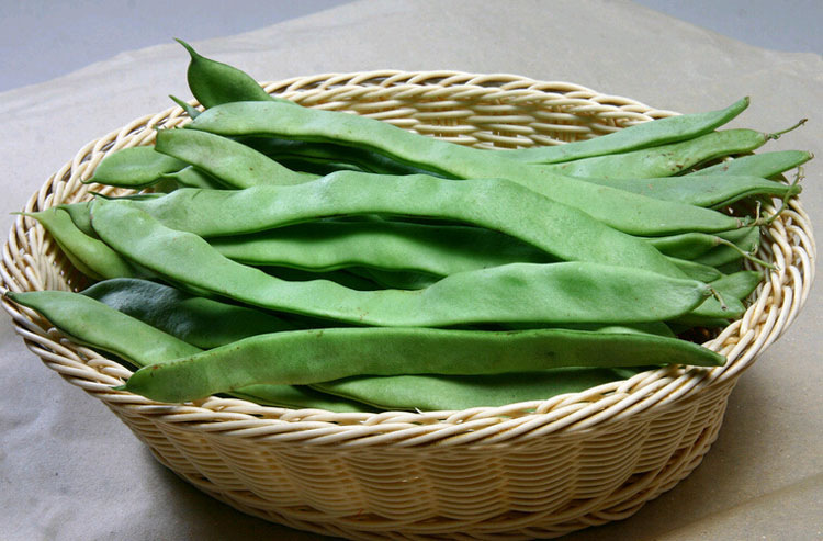 农聚源云豆15kg豆角芸豆刀豆葛豆架豆新鲜蔬菜