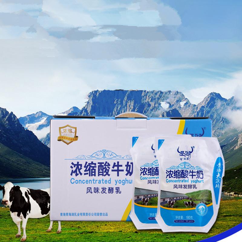 圣湖爱克林浓缩酸奶老酸牛奶风味发酵乳180gx12包产发mk