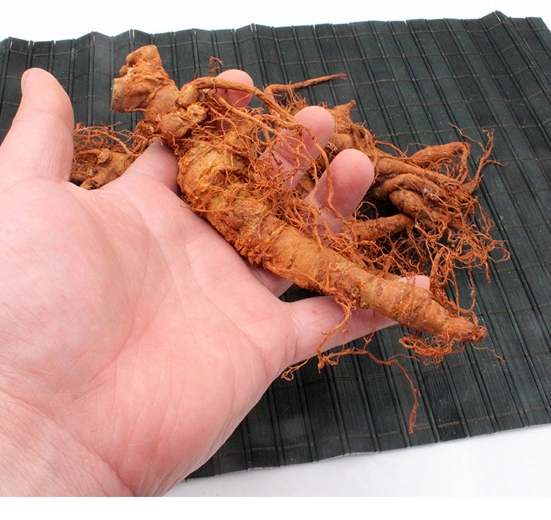 云南文山 新鲜三七 活三七泡酒 田七 非三七粉