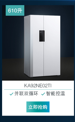 西门子冰箱BCD-452W(KM46FA95TI)