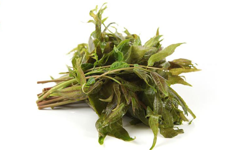 香椿芽1000g香椿叶红香椿芽菜叶新鲜蔬菜产发qq