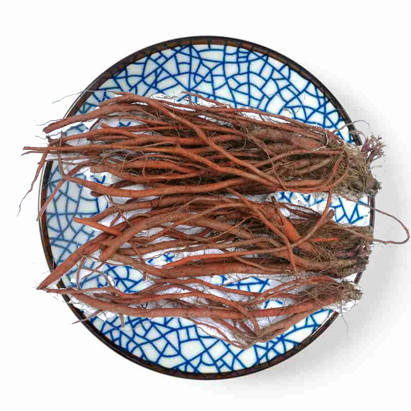 新鲜丹参500g深山原根血参根条非丹参片非粉非茶pgy