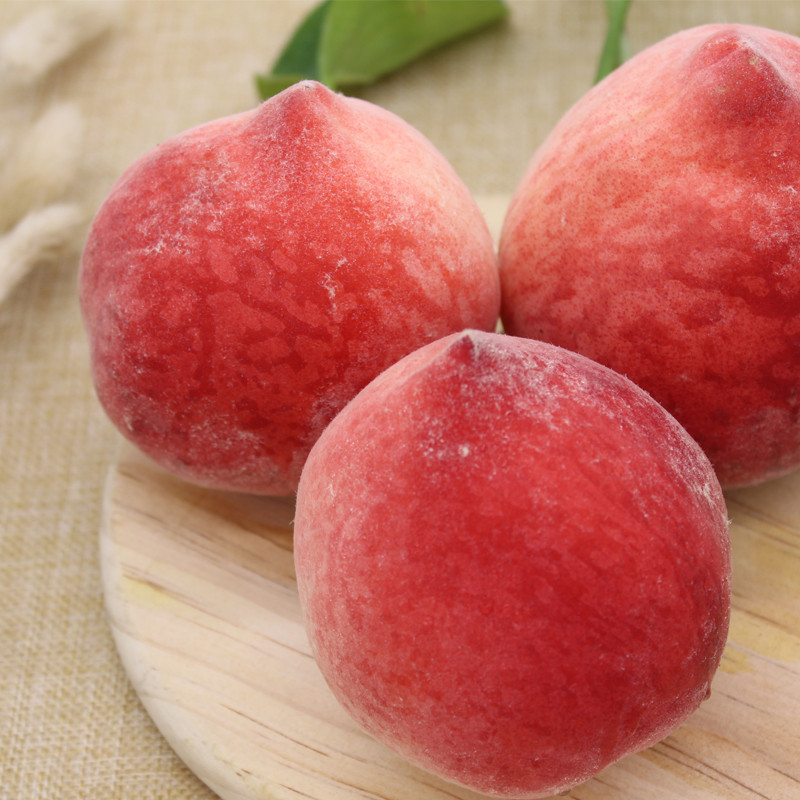 博多客桃李类 象山穆洋水蜜桃 新鲜水果 汁多甘甜 现摘现发 24个约6.