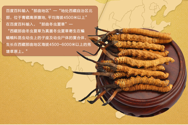 福曦堂西藏特产那曲冬虫夏草5根克礼盒内装50克高海拔那曲野生