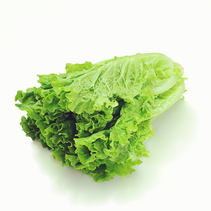 农聚源花叶生菜500g绿萝莎沙拉菜新鲜蔬菜as叶菜非有机国产其他