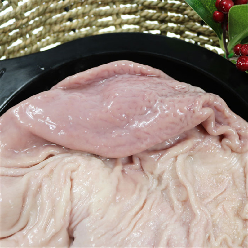 博多客火锅辅料 新鲜猪肚 新鲜生猪肚 散养猪肚 猪大肠肚 猪内脏 煲汤