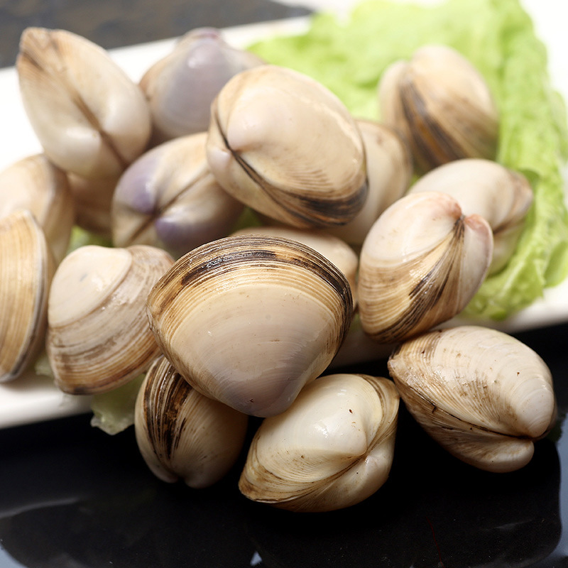 农聚源白蛤500g蛤蜊白蛤蜊花甲新鲜产发yq