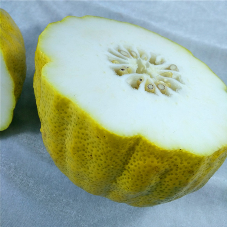 博多客香橼果1500g云南保