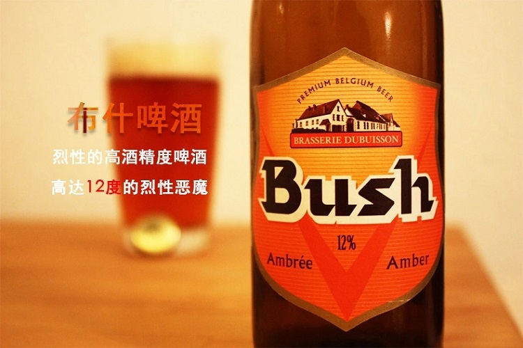 比利时进口啤酒bush布什啤酒330ml6瓶装烈性精酿外国啤酒