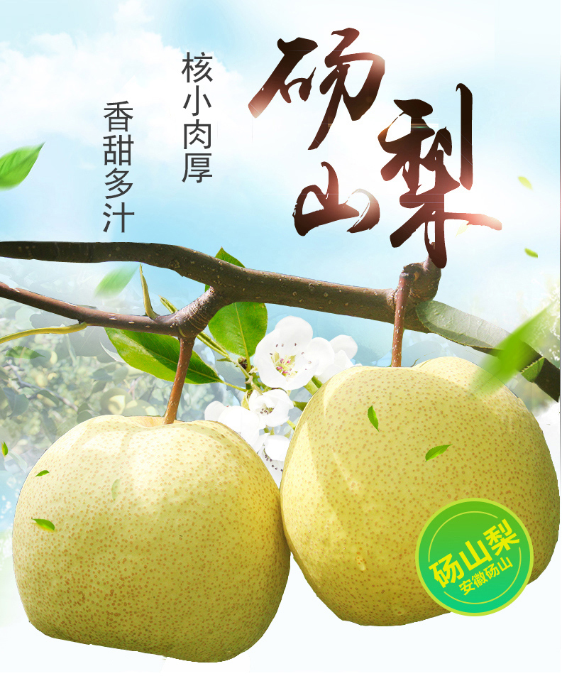 买一送一共发5斤果聚匠心砀山梨酥梨25斤装现摘当季新鲜水果