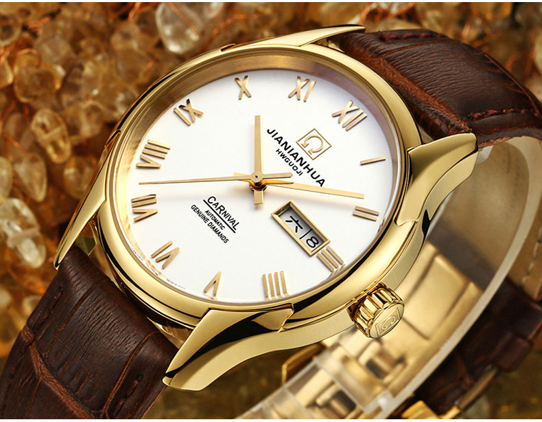 瑞士嘉年华carnival全自动机械表 男表休闲时尚手表防水真皮表带腕表