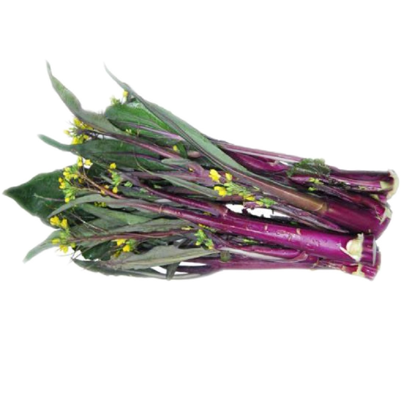 促销洪山直新鲜红菜苔湖北武汉特产5斤装紫菜薹农家种菜心蔬菜