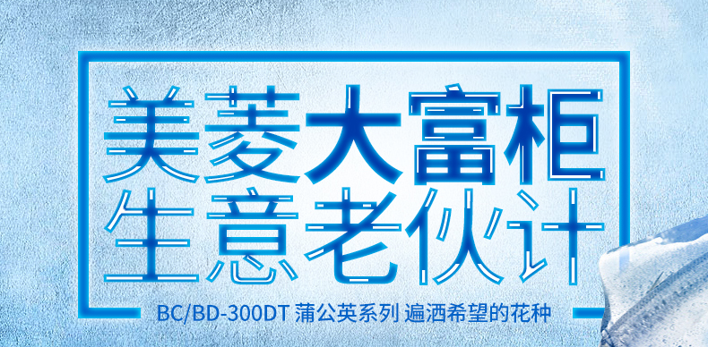 美菱冷柜BC/BD-300DT