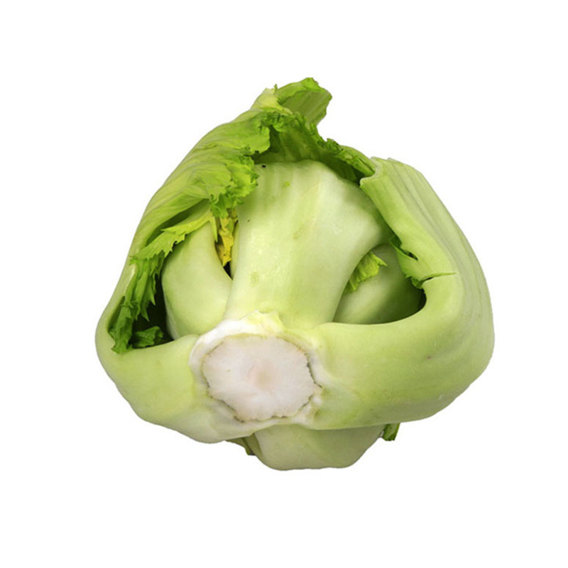 芥球1kg包心芥菜新鲜蔬菜