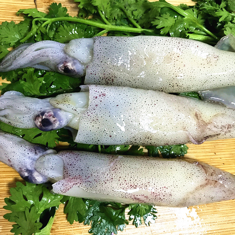 海兔子 500g 满籽带籽海兔鲜活新鲜笔管鱼小海鲜籽乌 墨鱼仔辣 hpt