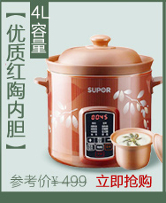 Supor/苏泊尔 DZ16YC802-35 苏泊尔电炖锅电炖盅白瓷隔水炖配三胆