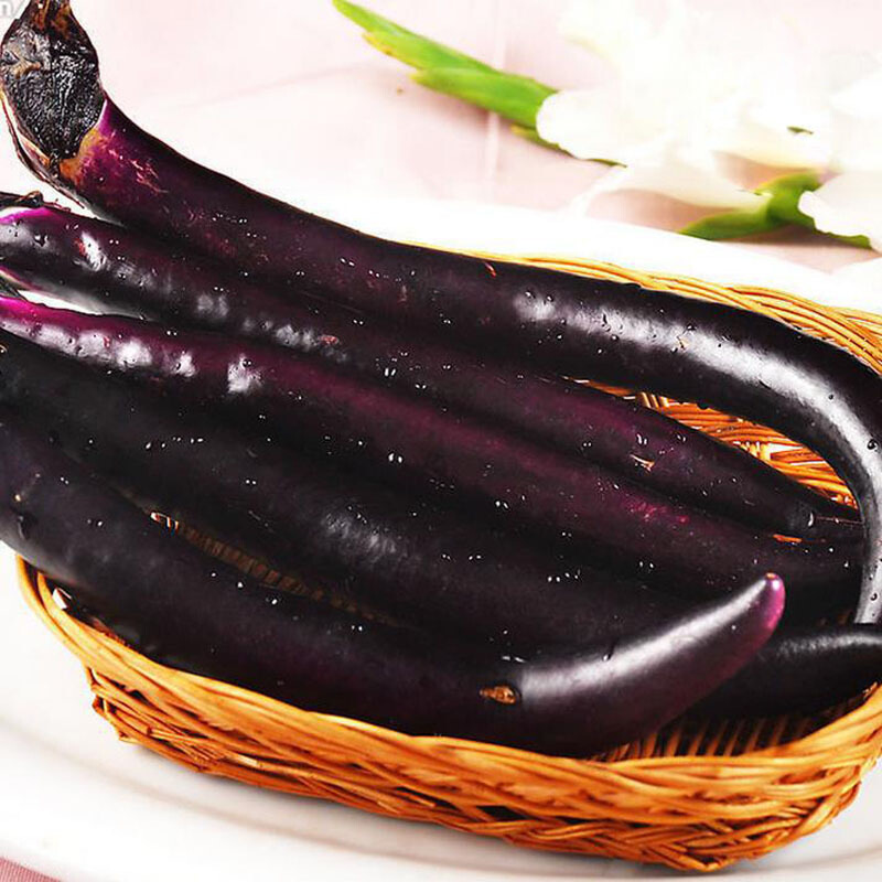 七果果长茄子1斤本地杭茄新鲜