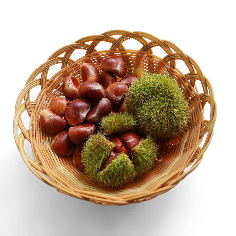 生板栗带壳栗子今年农家老树油栗